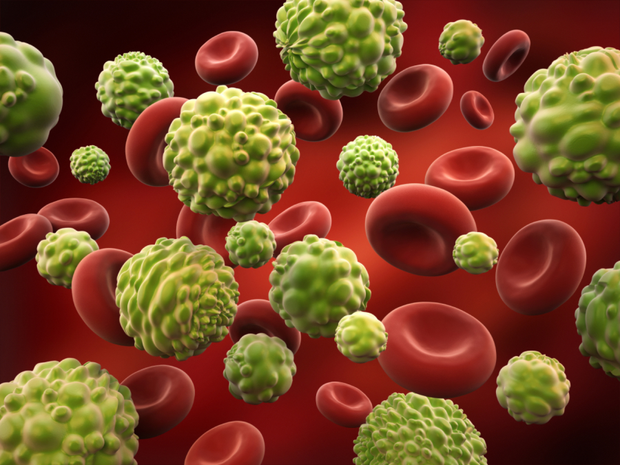 AFCBMMP Globule Rouge et ses pathologies AFCBMMP Globule Rouge et ses pathologies